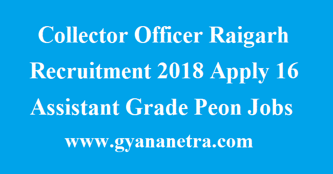 Collector Office Raigarh Assistant Grade III Recruitment