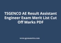 TSGENCO AE Result Mark Sheet